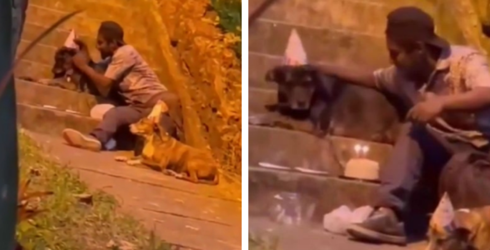 Rơi nước mắt khi chứng kiến hình ảnh người đàn ông vô gia cư tổ chức sinh nhật với những chú chó của mình  - Ảnh 1