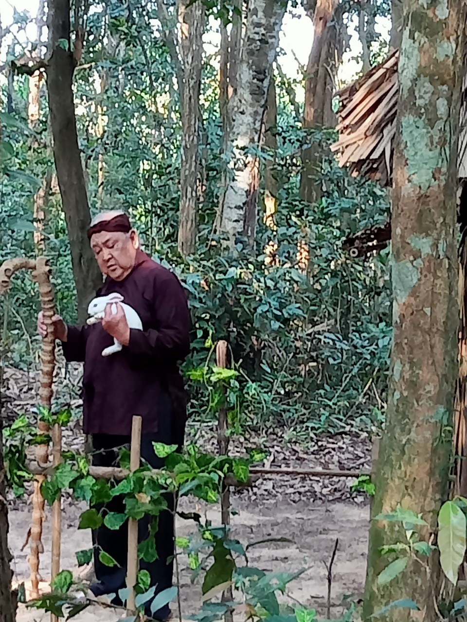 NSƯT Hùng Minh: 83 tuổi vẫn ở nhà thuê, cơm rau qua ngày, trầm cảm vì không có việc - Ảnh 5