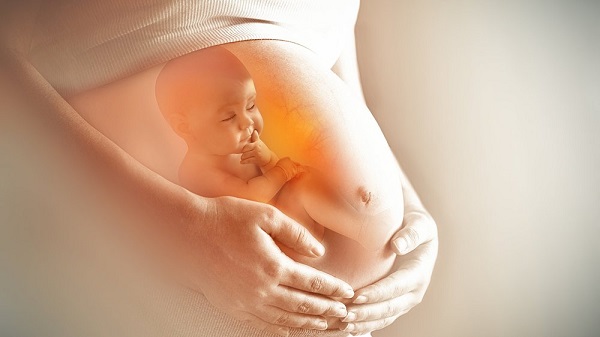 Mang thai mùa dịch là thách thức không hề nhỏ đối với nhiều sản phụ: Cách cơ thể mẹ bảo vệ em bé khỏi COVID-19 như thế nào? - Ảnh 1