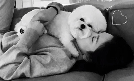 Sau 3 năm ly hôn Song Joong Ki, Song Hye Kyo tiết lộ cuộc sống độc thân hạnh phúc của mình bên chú chó cưng - Ảnh 1