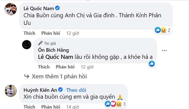 Diễn viên Ôn Bích Hằng đau đớn báo tin tang sự, Trịnh Kim Chi cùng dàn sao Việt xót xa gửi lời chia buồn - Ảnh 6