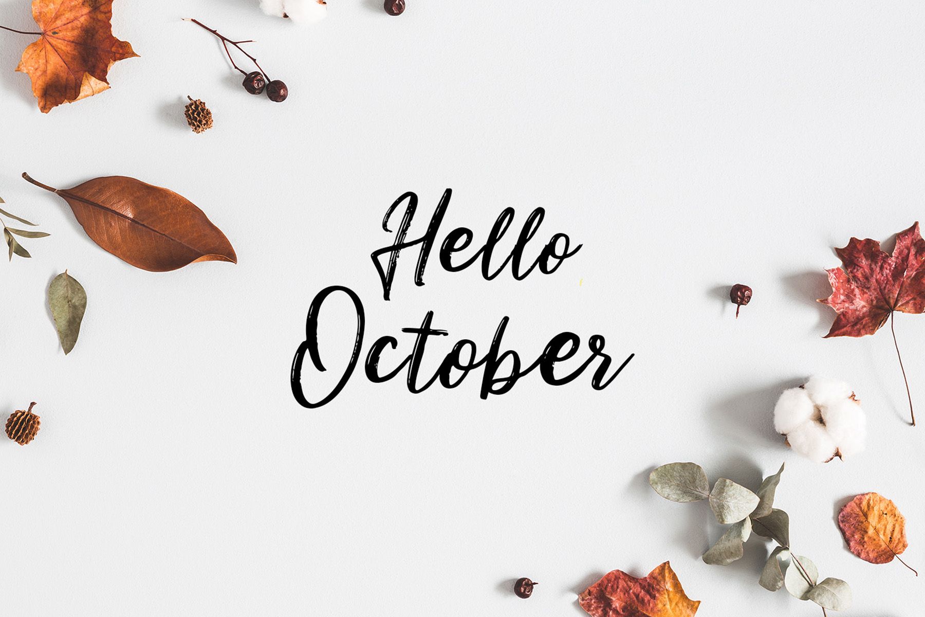 Tháng 10 cung gì? Giải mã tính cách và số mệnh của người sinh tháng 10 - Ảnh 1