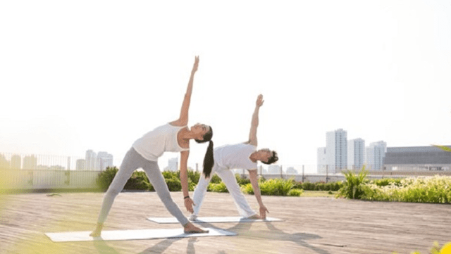 Tập Yoga tại nhà với bài tập đơn giản cho người mới bắt đầu - Ảnh 8