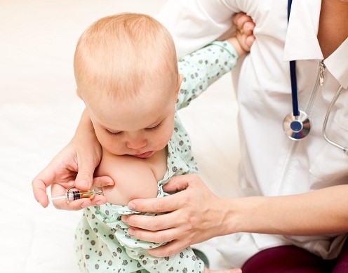Thực hư về tác dụng của lá tía tô với trẻ sơ sinh giúp hạ sốt khi tiêm phòng - Ảnh 3