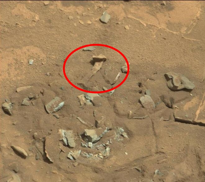 Giải mã bí ẩn sau bức ảnh chụp vật thể giống 'xương người' trên bề mặt Sao Hỏa của NASA - Ảnh 1