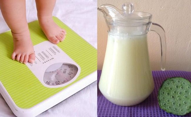 Hướng dẫn cách làm sữa hạt sen bổ dưỡng cho bé ăn dặm nhanh tăng cân - Ảnh 1