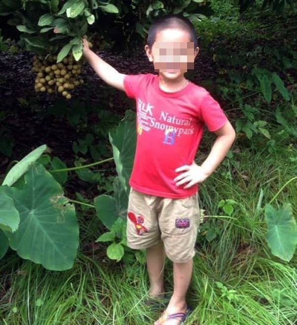 Phép màu đã không mỉm cười với cậu bé 7 tuổi bị nhiễm trùng máu, suy đa tạng ở Hà Nội - Ảnh 2
