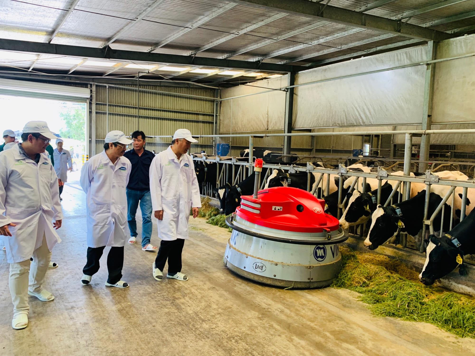 Vinamilk phối hợp với Cục thú y xây dựng vùng chăn nuôi bò sữa an toàn dịch bệnh được quốc tế công nhận - Ảnh 4