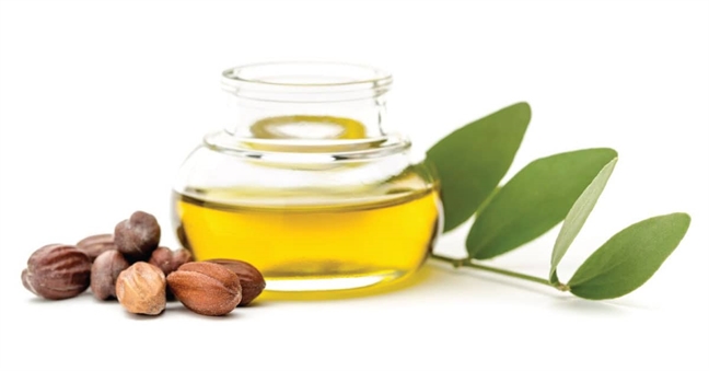 10 lý do nên thêm dầu jojoba vào thói quen chăm sóc da - Ảnh 1