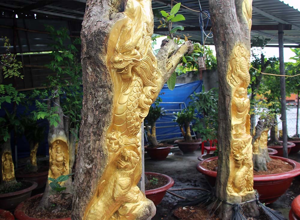 Chuyện lạ miền Tây: Quan Âm Bồ Tát cưỡi rồng vàng hiện hình trên cây khế - Ảnh 1