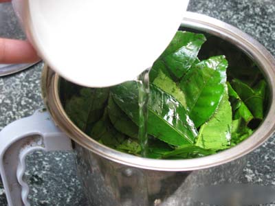 Nấu nước lá trà xanh để rửa mặt 2 lần mỗi ngày, da bật tông trắng mịn như bông bưởi mà chẳng cần mỹ phẩm - Ảnh 2