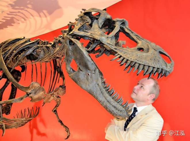 Phát hiện ra xác ướp khủng long có dấu chân hình móng ngựa tại Hoa Kỳ - Ảnh 3
