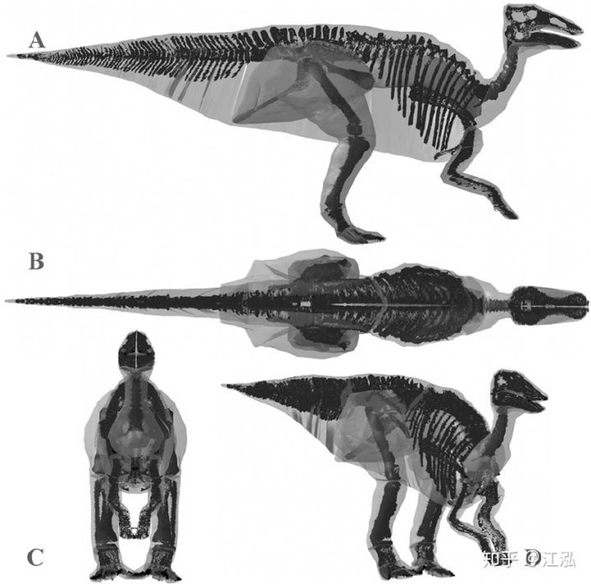 Phát hiện ra xác ướp khủng long có dấu chân hình móng ngựa tại Hoa Kỳ - Ảnh 5