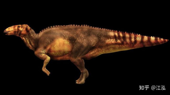 Phát hiện ra xác ướp khủng long có dấu chân hình móng ngựa tại Hoa Kỳ - Ảnh 6