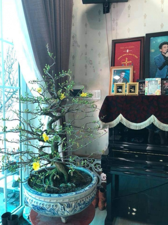 Sau gần 20 năm ca hát, Quang Hà sở hữu 13 căn nhà và khối tài sản khổng lồ - Ảnh 3
