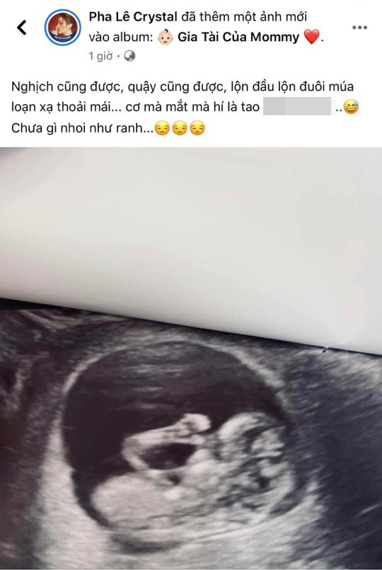 Pha Lê bất ngờ thông báo mang thai con đầu lòng với bạn trai người Hàn - Ảnh 1