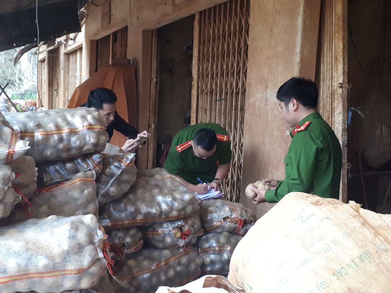 Bắt quả tang cơ sở “phù phép” 1.000kg khoai tây Trung Quốc nhái Đà Lạt - Ảnh 1