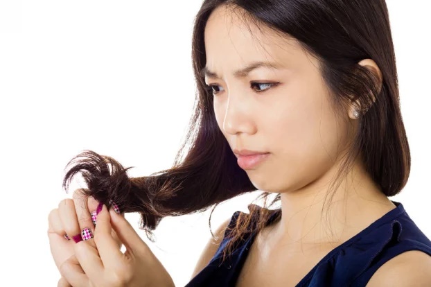 4 lý do vì sao bạn nên lau khô tóc trước khi ngủ dù mệt đến đâu - Ảnh 1