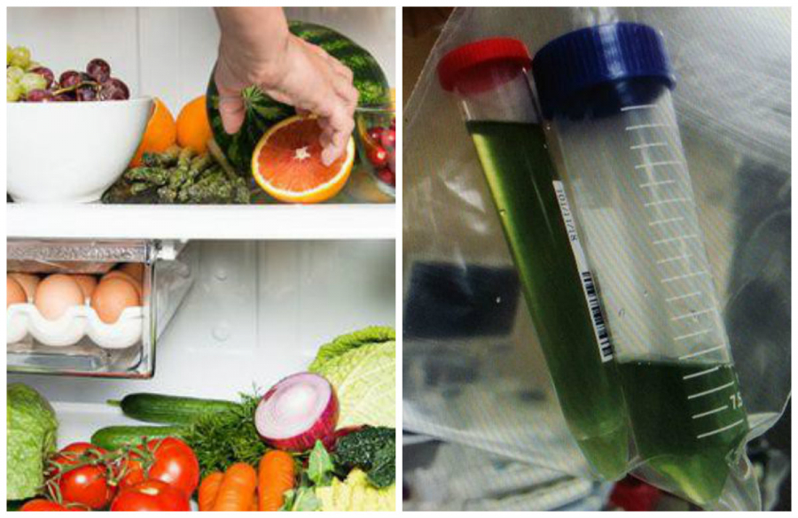 Bé gái 6 tuổi nước tiểu chuyển màu xanh vì ăn đồ trong tủ lạnh khiến cơ thể nhiễm khuẩn - Ảnh 1