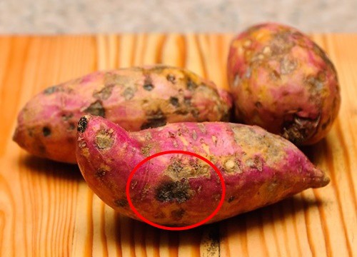 Thấy khoai lang có điểm “đặc biệt” này hãy ném bỏ ngay, cố tình ăn sẽ mang độc vào người - Ảnh 2