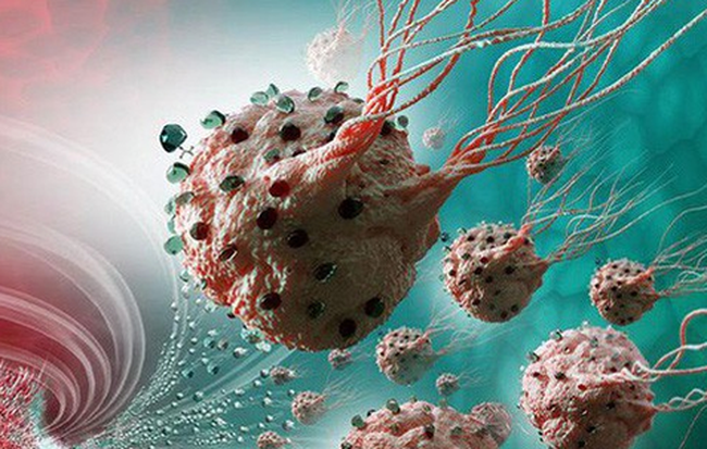 Những thực phẩm thúc đẩy tế bào ung thư: PCT Hội Ung thư HN khuyên người bệnh tránh xa - Ảnh 1