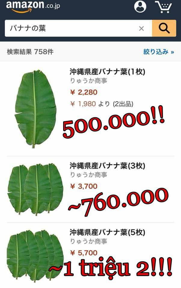 Hết ngạc nhiên vì siêu thị tại Nhật Bản bán 120.000 đồng được 7 quả vải, dân tình lại nhốn nháo khi biết shop online Nhật rao bán cả hạt vải với giá cao - Ảnh 9