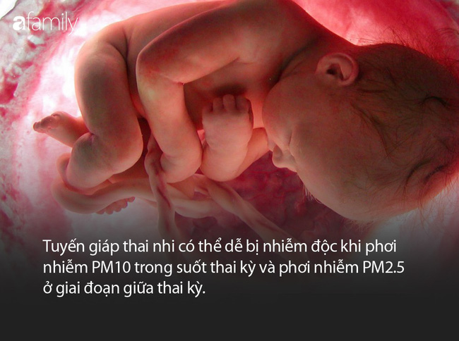 Ô nhiễm không khí ảnh hưởng không tốt tới thai nhi, mẹ bầu cần làm gì để bảo vệ em bé trong bụng? - Ảnh 2