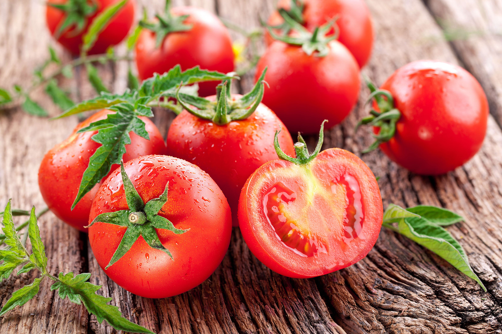 Trồng cà chua không cần hạt giống: Cách làm mới lạ nhưng đảm bảo thành công, cả năm thu hoạch mỏi tay - Ảnh 1