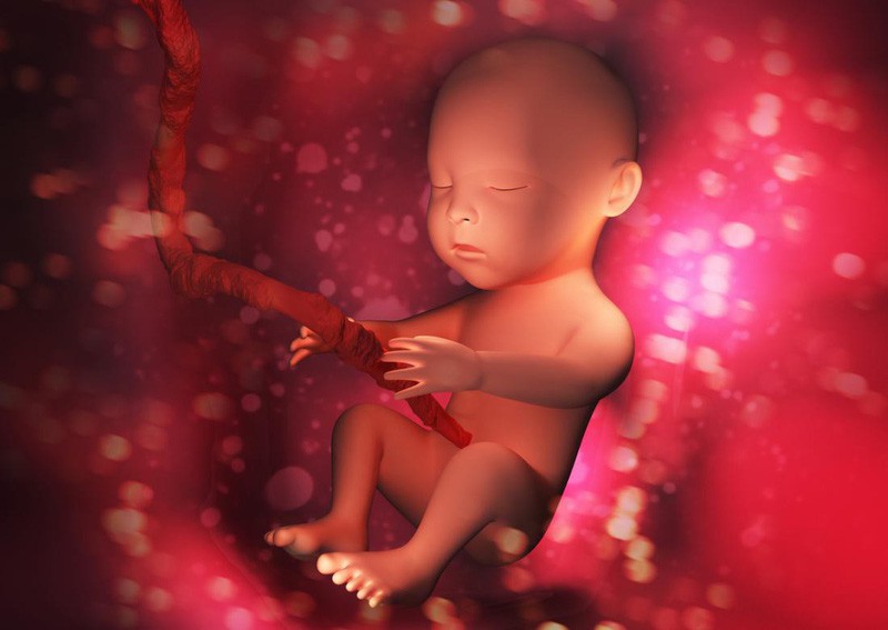 Tin vui cho mẹ bầu: Lần đầu tiên Việt Nam chữa được bệnh cho thai nhi ngay trong bụng mẹ - Ảnh 2