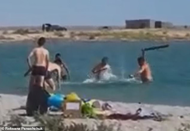 Phẫn nộ cảnh tượng hải cẩu bị du khách tắm biển vây đánh đến bất tỉnh chỉ để cho trẻ con chụp ảnh cùng - Ảnh 2