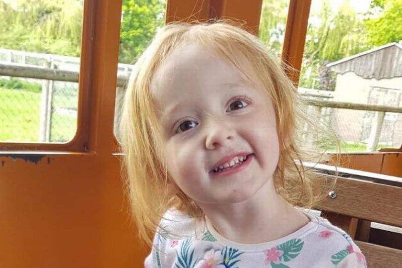 Bé gái 3 tuổi tử vong trên tay mẹ vì nhầm tưởng ung thư là táo bón - Ảnh 1