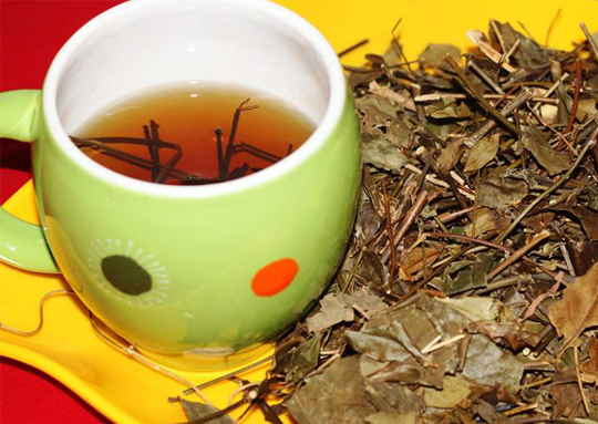 Bật mí cách pha trà ngon cho ngày Tết thêm ấm áp và dồi dào sức khỏe - Ảnh 2