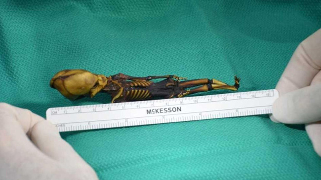 Bí ẩn về 'xác ướp ngoài hành tinh' dài 13cm ở sa mạc khô nhất thế giới: 18 năm sau mới phát hiện sự thật đầy đau lòng - Ảnh 3