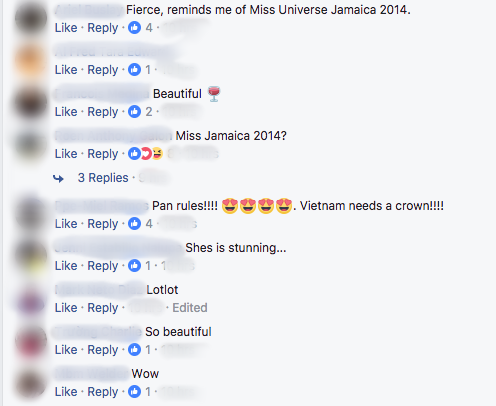 Phản ứng của cư dân mạng quốc tế khi H'Hen Niê đăng quang Hoa hậu Hoàn vũ Việt Nam - Ảnh 2