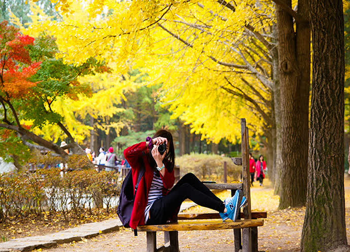 Đi du lịch Hàn Quốc vào mùa thu nên mặc gì - Ảnh 3