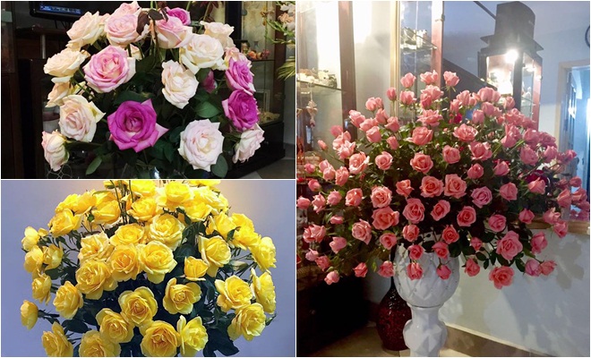 Hoa hồng là loài hoa quen thuộc có nhiều màu sắc xinh đẹp và ý nghĩa