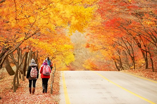 Hàn Quốc lôi cuốn khách du lịch tới nhiều trong tháng 9 đến tháng 11