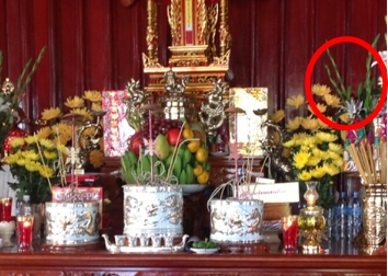 Ngày Tết, chỉ cần cắm 8 loại hoa này trên bàn thờ bảo đảm tiền tài ập đến, xui xẻo bị đuổi sạch khỏi nhà - Ảnh 1