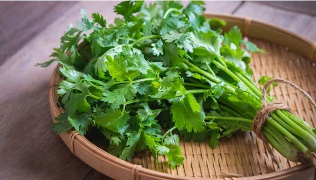 Loại rau gia vị của người Việt được người Nhật ăn nhiều vì vừa ngon vừa bổ dưỡng - Ảnh 1