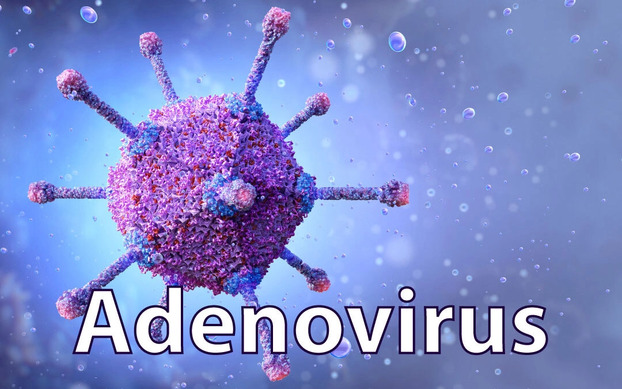 4 cách phòng chống lây nhiễm virus Adeno - Ảnh 1