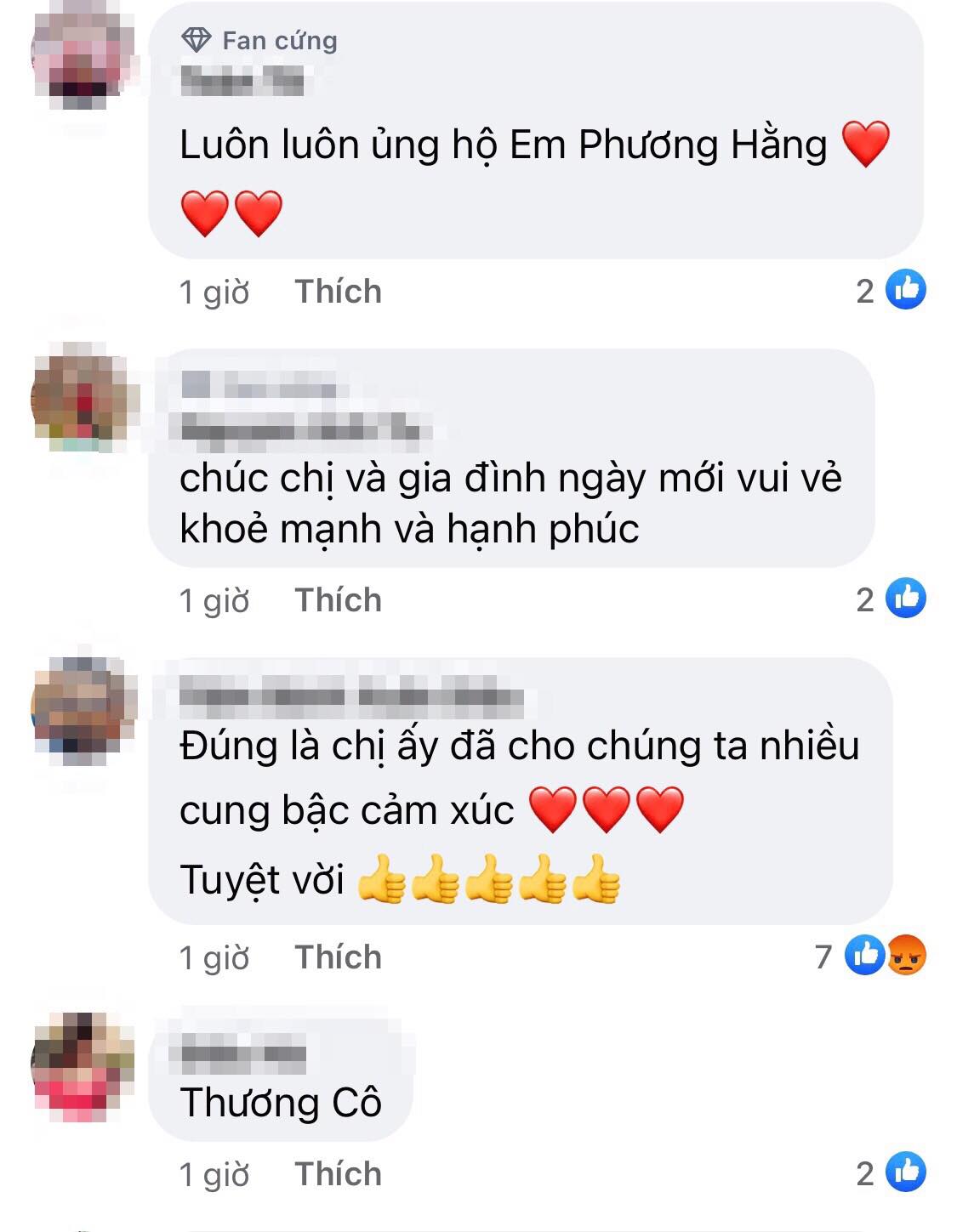 Nguyen Phuong Hang 3