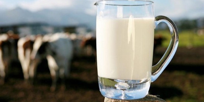 Sữa bò và sữa đậu nàng: Đặt lên bàn cân so sánh xem thử loại nào tốt hơn? - Ảnh 6