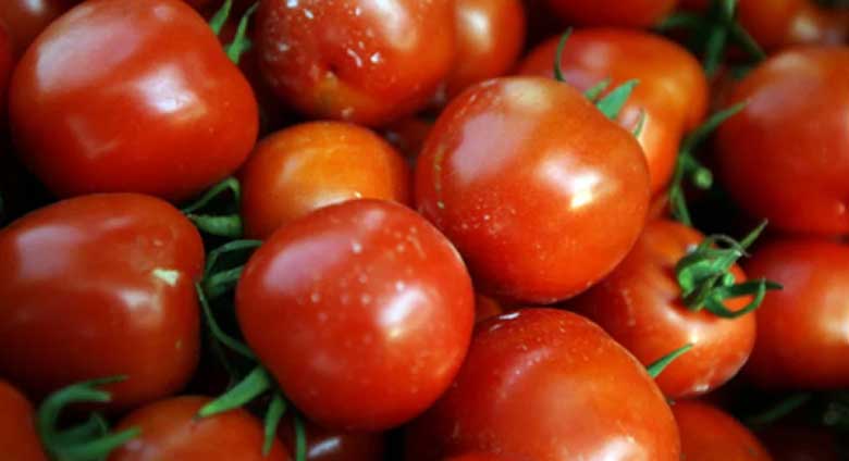 Mẹo chọn mua cà chua tươi ngon '100 quả như 1' không lo mua phải hàng cũ, hàng hư, ngâm thuốc - bảo vệ gia đình bạn ra khỏi những hóa chất độc hại - Ảnh 1