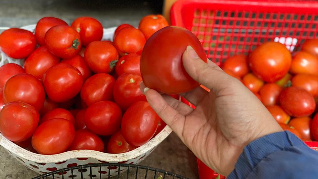 Mẹo chọn mua cà chua tươi ngon '100 quả như 1' không lo mua phải hàng cũ, hàng hư, ngâm thuốc - bảo vệ gia đình bạn ra khỏi những hóa chất độc hại - Ảnh 7