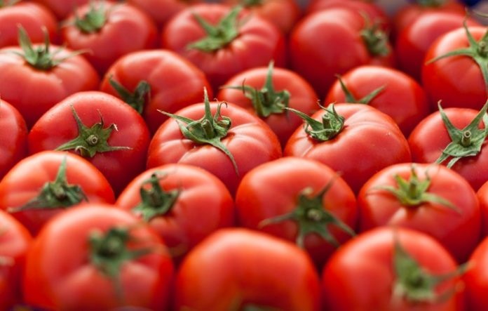 Mẹo chọn mua cà chua tươi ngon '100 quả như 1' không lo mua phải hàng cũ, hàng hư, ngâm thuốc - bảo vệ gia đình bạn ra khỏi những hóa chất độc hại - Ảnh 6