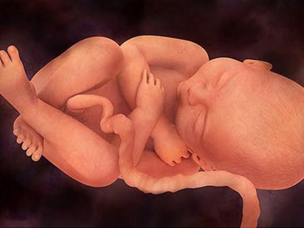 6 biểu hiện thai chết lưu mẹ bầu nào cũng phải biết - Ảnh 1