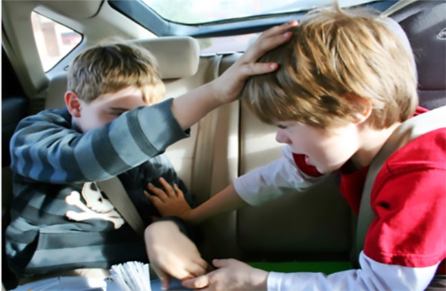 Đi xe ô tô dù xa hay gần tuyệt đối tuân thủ 7 việc này để an toàn cho trẻ và cả nhà - Ảnh 3