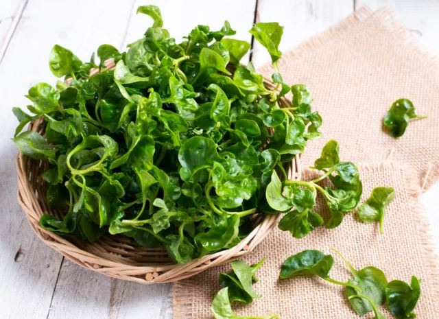 Chuyên gia dinh dưỡng cho biết 5 loại rau lá xanh tốt nhất bạn nên thêm vào thực đơn hàng ngày! - Ảnh 5