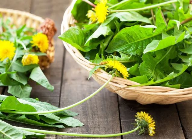 Chuyên gia dinh dưỡng cho biết 5 loại rau lá xanh tốt nhất bạn nên thêm vào thực đơn hàng ngày! - Ảnh 2