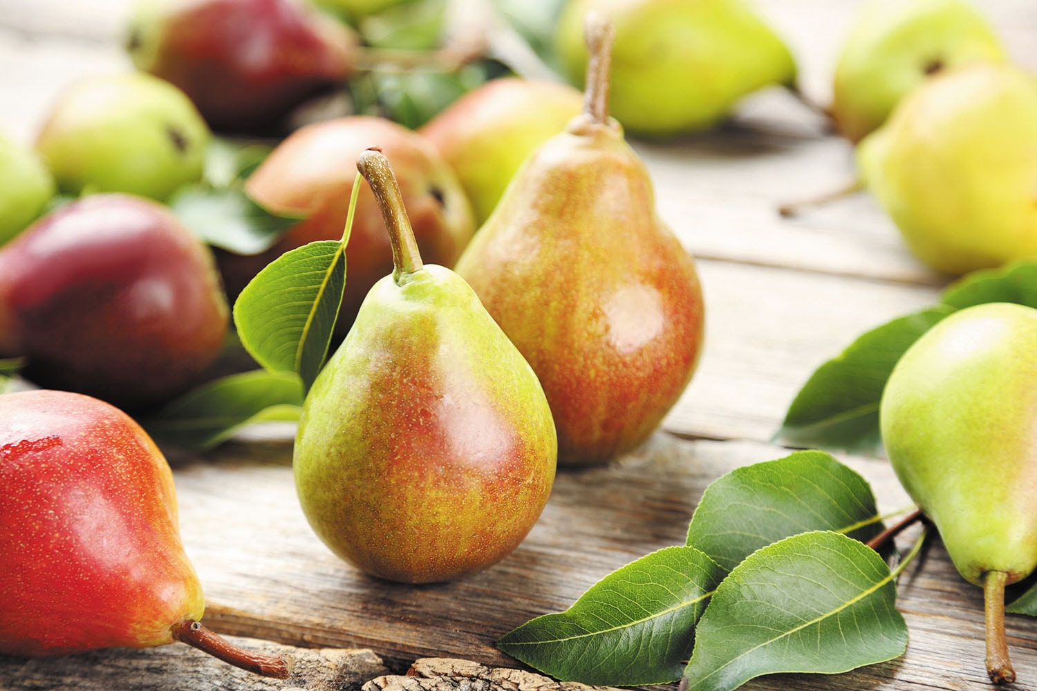 Top 8 loại trái cây ngọt giúp bạn thỏa mãn cơn thèm đường một cách tự nhiên! - Ảnh 3